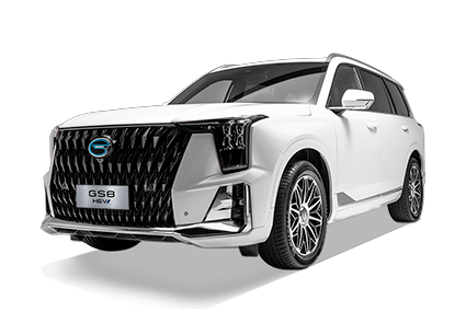 GS8 HEV - GAC Churubusco in Ciudad de México CDMX