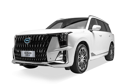  GS8 HEV - GAC Churubusco in Ciudad de México CDMX